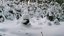 Sněhová čepice - okolí Mutkova. Foto: Jaroslav Beňo 